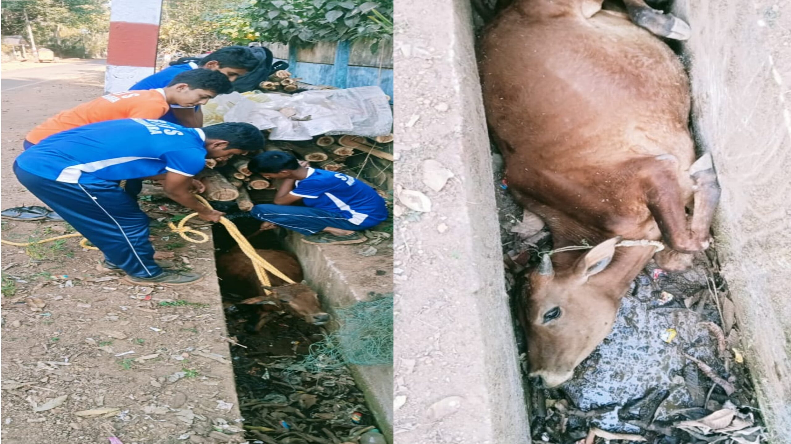 HUMANITY:ಮಾನವೀಯತೆ ಮೆರೆದ ಗುರೂಜಿ ಶಾಲೆಯ ವಿದ್ಯಾರ್ಥಿಗಳು…