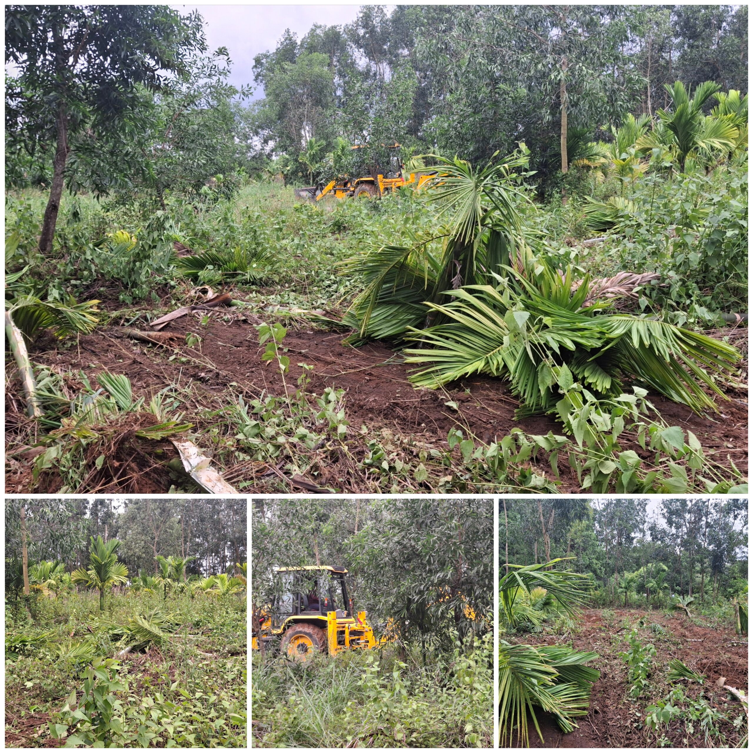 ENCROACHMENT:ವಸುವೆ ಗ್ರಾಮದಲ್ಲಿ 4.02 ಏಕರೆ ಭೂ ಒತ್ತುವರಿ ತೆರವು….