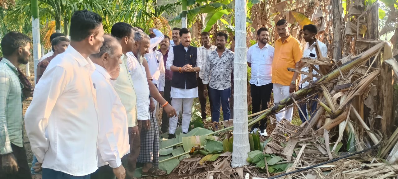 RIPPONPET NEWS:ಆನೆ ದಾಳಿಯಿಂದ ಹಾನಿಗೊಳಗಾದ ರೈತರ ಹೊಲಗಳಿಗೆ ಶಾಸಕ ಗೋಪಾಲಕೃಷ್ಣ ಬೇಳೂರು ಭೇಟಿ – ತಕ್ಷಣ ಪರಿಹಾರ ಕ್ರಮಕ್ಕೆ ಸೂಚನೆ.